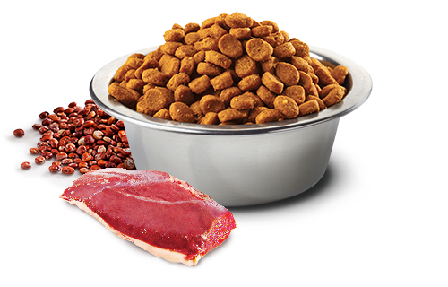 N&D Quinoa Neuterd, Храна за кастрирани кучета, с патешко, броколи и аспержи-2